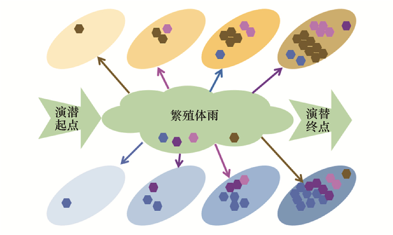 冰川消退带微生物群落演替及生物地球化学循环