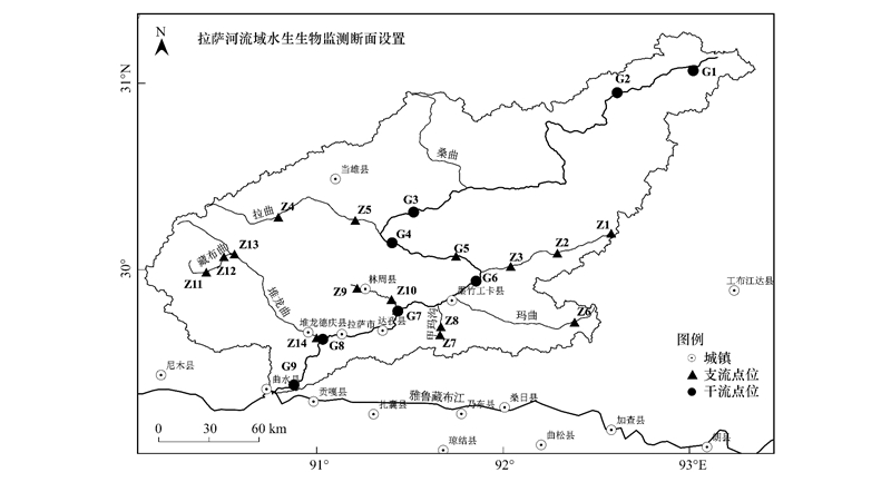 拉萨河流域大型底栖动物群落结构及其与环境因子的关系