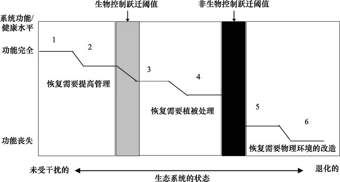发展生态的原理是什么_上环是什么原理图片(2)