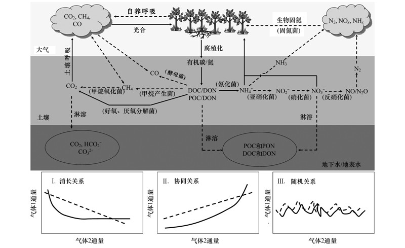 排排寒湿的原理是什么_湿疣是什么病图片(2)