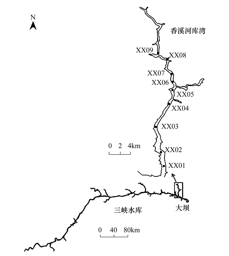 香溪河地图图片